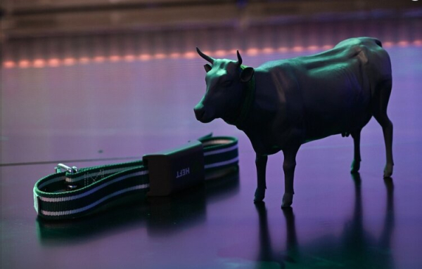 Від оборонних систем до healthtech-інновацій: чим дивували переможці IT Arena 2025 | Mind.ua Від оборонних систем до healthtech-інновацій: чим дивували переможці IT Arena 2025 | Mind.ua