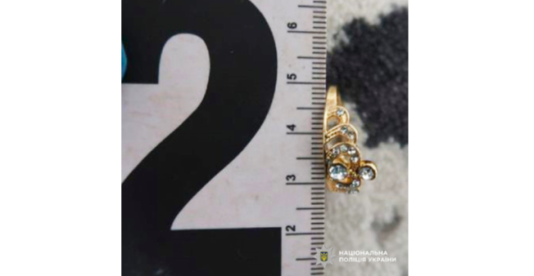 У Рідківцях майстер робив ремонт в будинку і викрав ювелірні прикраси вартістю 300 тисяч грн &raquo; Чернівецький промінь | Новини. Буковина. Чернівці