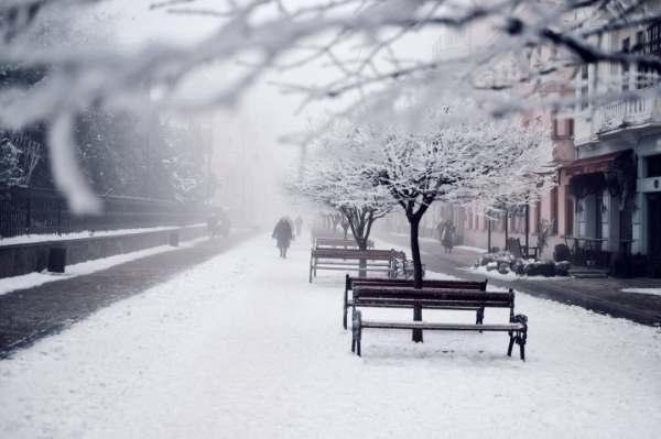 З ранку в місті сніжить і морозно З ранку в місті сніжить і морозно