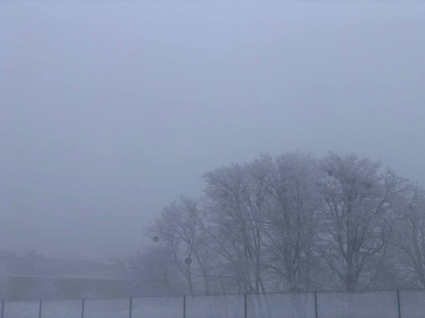 Чернівці огорнув густий туман та вдарив сильний мороз &raquo; Чернівецький промінь | Новини. Чернівці. Буковина