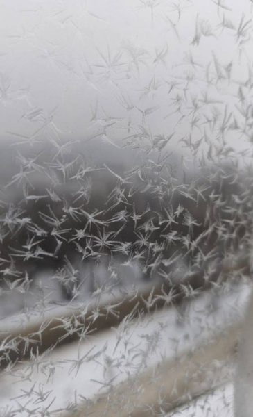 Чернівці огорнув густий туман та вдарив сильний мороз &raquo; Чернівецький промінь | Новини. Чернівці. Буковина