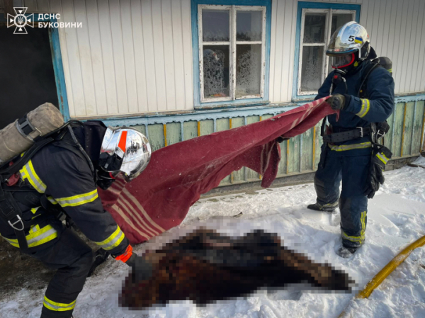 У пожежі на Буковині загинув чоловік: рятувальників викликали очевидці &raquo; Чернівецький промінь | Новини. Чернівці. Буковина
