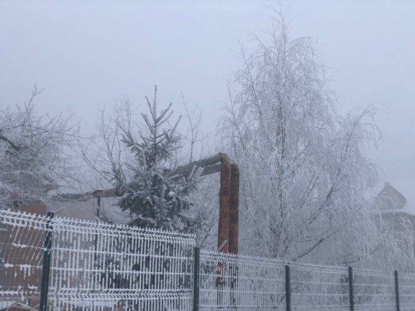 Чернівці огорнув густий туман та вдарив сильний мороз &raquo; Чернівецький промінь | Новини. Чернівці. Буковина